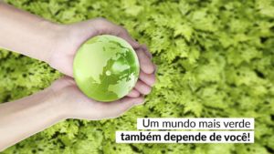 Read more about the article Ambiente sustentável e equilibrado: você pode ajudar